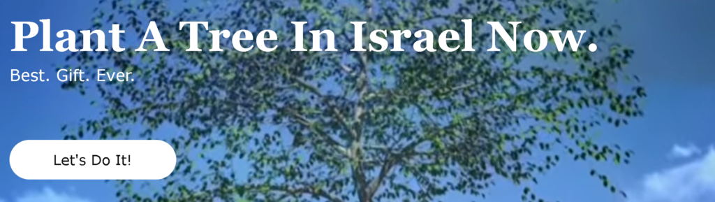 Plant A Tree In Israel Now!